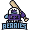 Saskatoon Berries